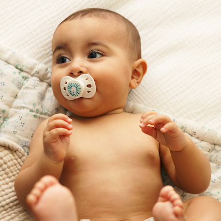 Sucette anatomique animaux - 6-18 mois - lot de 2 Bleu + beige+Jaune + beige+Vert + beige 16 - vertbaudet enfant 