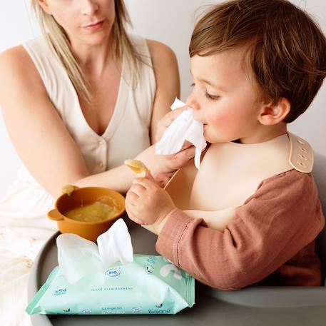 Lingettes à l'eau certifiées biologiques X15+X54 9 - vertbaudet enfant 