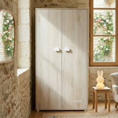 Chambre et rangement-Armoire 2 portes en bois - smile