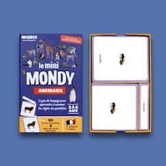 Jouet-Mini-mondy - 90 cartes maison - langage