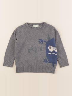 Seconde main-Garçon-Pull - 2 ans