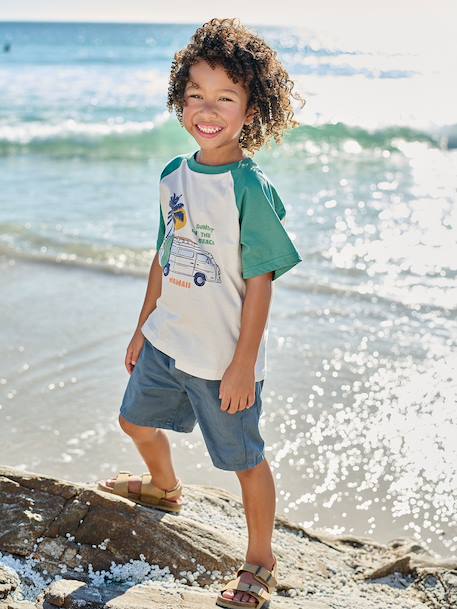 T-shirt manches courtes garçon bleu océan+vert émeraude 9 - vertbaudet enfant 