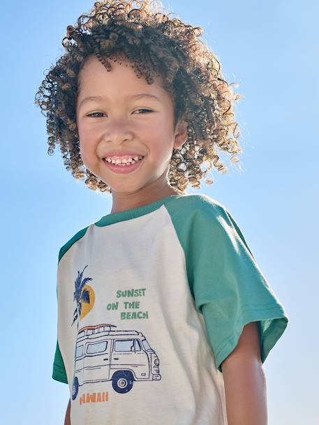 T-shirt manches courtes garçon bleu océan+vert émeraude 5 - vertbaudet enfant 