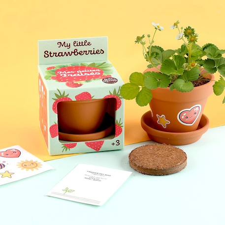 Je fais pousser mon fraisier Marron 5 - vertbaudet enfant 