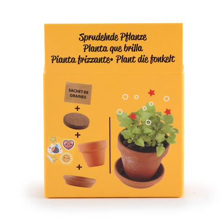 Je fais pousser ma plante qui pétille Marron 3 - vertbaudet enfant 