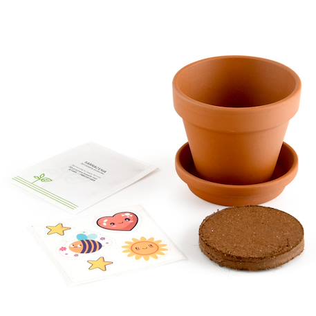 Je fais pousser ma plante carnivore Marron 4 - vertbaudet enfant 