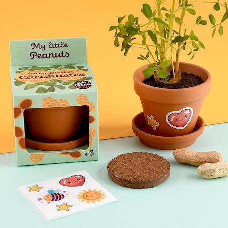 Je fais pousser mes cacahuètes Marron 2 - vertbaudet enfant 