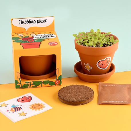 Je fais pousser ma plante qui pétille Marron 2 - vertbaudet enfant 
