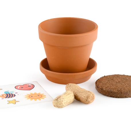 Je fais pousser mes cacahuètes Marron 3 - vertbaudet enfant 