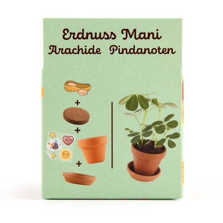 Je fais pousser mes cacahuètes Marron 4 - vertbaudet enfant 