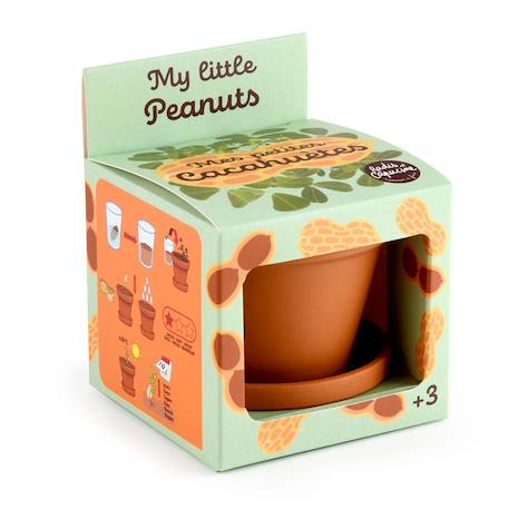 Je fais pousser mes cacahuètes Marron 1 - vertbaudet enfant 