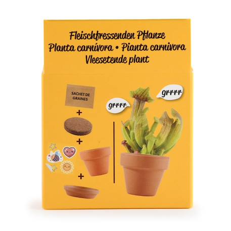 Je fais pousser ma plante carnivore Marron 3 - vertbaudet enfant 