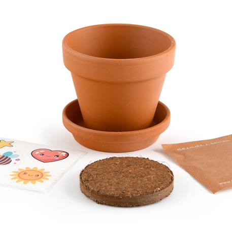 Je fais pousser ma plante qui pétille Marron 5 - vertbaudet enfant 