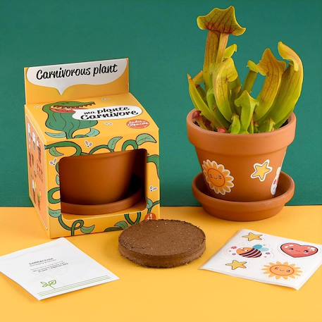 Je fais pousser ma plante carnivore Marron 2 - vertbaudet enfant 