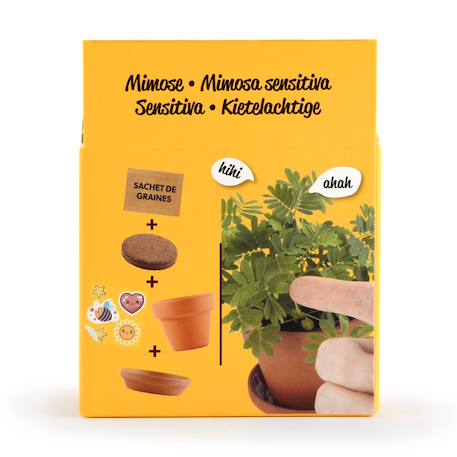 Je fais pousser mon mimosa pudica Marron 4 - vertbaudet enfant 