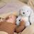 Peluche bruit blanc milo le lapin Beige+Blanc, bleu+Gris 18 - vertbaudet enfant 