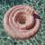 Bouée bébé dreamy mermaid Rose, violet, vert 3 - vertbaudet enfant 