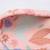 Poncho de bain Dreamy mermaid en coton bio Rose, violet, vert 4 - vertbaudet enfant 