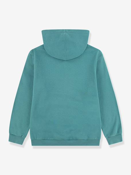 Sweat à capuche garçon vert 2 - vertbaudet enfant 