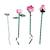 Botanicals bouquet de roses 10374 Rose 6 - vertbaudet enfant 