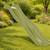 Glissière de toboggan 1,73 m de glisse - hauteur 85 à 90cm Vert 3 - vertbaudet enfant 