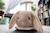 Porteur Animal À Bascule 2 En 1 En Peluche Chien Gris+Marron 3 - vertbaudet enfant 