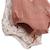 Lot de 2 barboteuses bloomer bébé en gaze de coton arizona Ecru 3 - vertbaudet enfant 