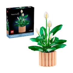 Jouet-Jeux d'imagination-Botanicals les fleurs de lune 11504