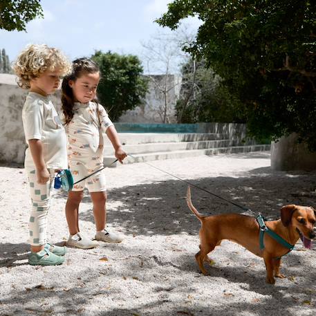 T-shirt anti-uv manches courtes beach chien (7-12 mois) Multicolore 4 - vertbaudet enfant 