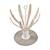 Egoutte biberons pliable compact et nomade capacité 8 biberons Gris+Rose+Terre argile 13 - vertbaudet enfant 