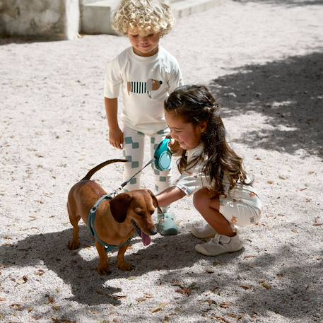 T-shirt anti-uv manches courtes beach chien (7-12 mois) Multicolore 6 - vertbaudet enfant 