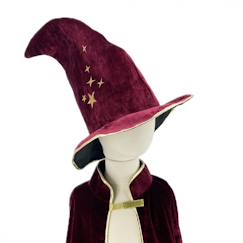 Jouet-Chapeau gandalf