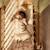 Gigoteuse légère cocoon little waffle sand (0-3 mois) Beige 4 - vertbaudet enfant 