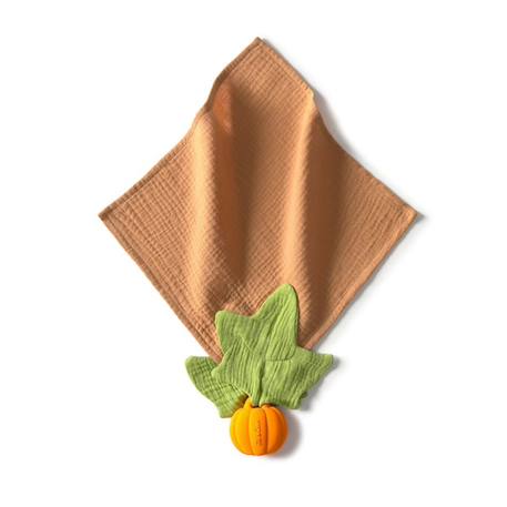 Maxi doudou - anneau de dentition - pipa la citrouille Orange 1 - vertbaudet enfant 