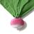 Maxi doudou - anneau de dentition - ramona le radis Rose 5 - vertbaudet enfant 