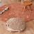 Coussin de sol enfant en coton hedgehog Naturel, marron clair 3 - vertbaudet enfant 