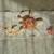 Peluche en coton ride & roll Bleu sauge, olive, toffee, naturel 1 - vertbaudet enfant 