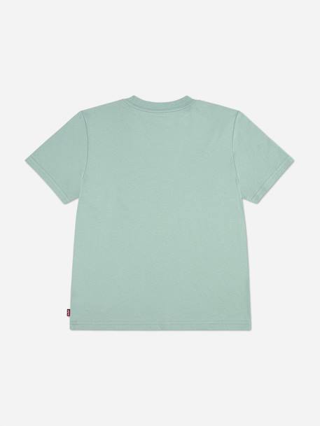 T-shirt  à manche courte pour garçon Bleu ciel+Noir / rouge+Vert clair 7 - vertbaudet enfant 