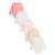 Lot de 5 bodies bébé manches longues ouverture croisée louison Rose 2 - vertbaudet enfant 