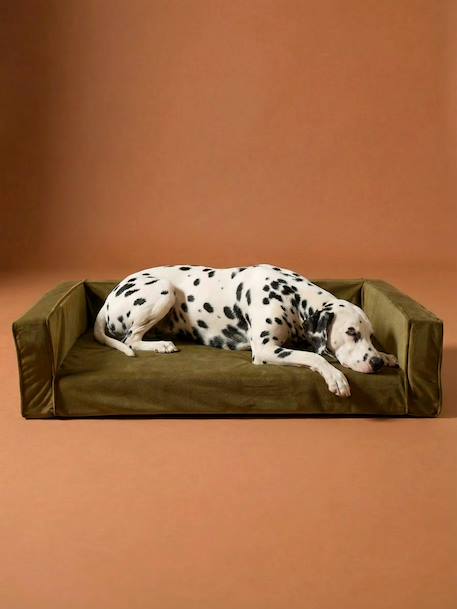 Canapé velours chien grand bronze 6 - vertbaudet enfant 