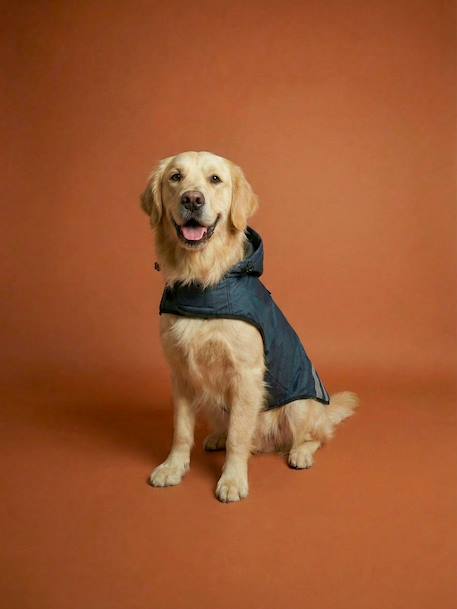 Manteau imperméable pour chien bleu ardoise 9 - vertbaudet enfant 