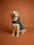 Manteau imperméable pour chien bleu ardoise 9 - vertbaudet enfant 