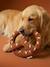 Jouet chien tissu bretzel noisette 3 - vertbaudet enfant 