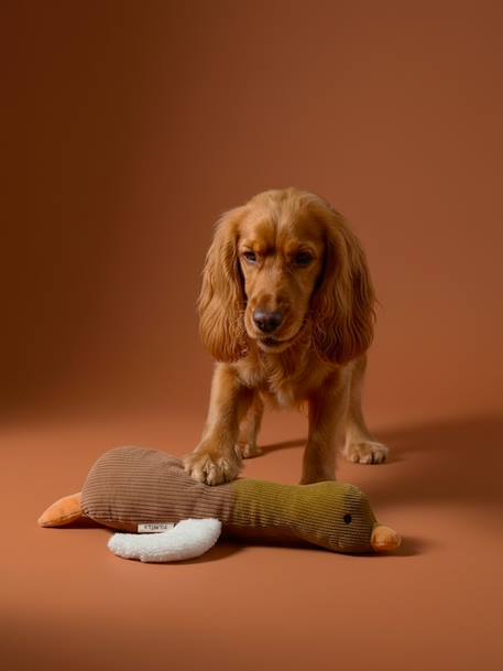 Jouet chien multi textures canard noisette 2 - vertbaudet enfant 