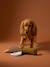 Jouet chien multi textures canard noisette 2 - vertbaudet enfant 