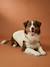 Manteau polaire chien beige+kaki 7 - vertbaudet enfant 