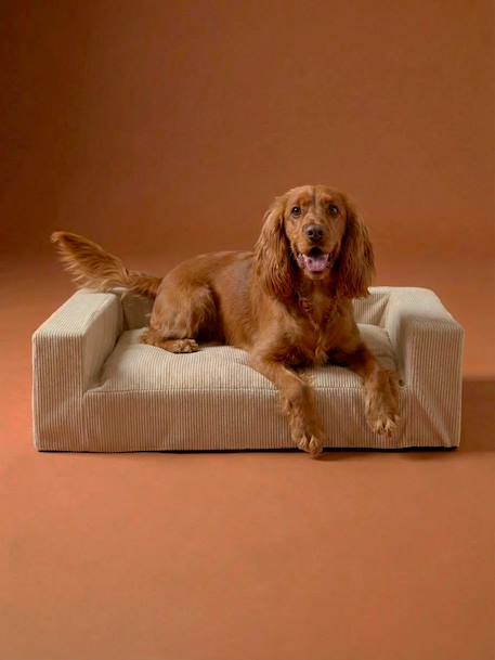 Sofa chien moyen velours côtelé écru 7 - vertbaudet enfant 