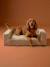Sofa chien moyen velours côtelé écru 7 - vertbaudet enfant 