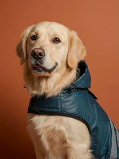 Linge de maison et décoration-Décoration-Manteau imperméable pour chien