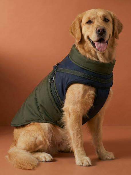 Manteau doudoune chien zip harnais Kaki 5 - vertbaudet enfant 